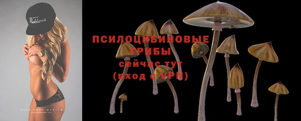 не бодяженный Зерноград
