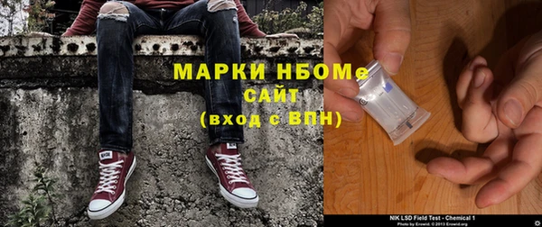 прущие грибы Заволжье