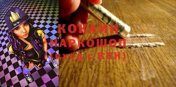 прущие грибы Заволжье