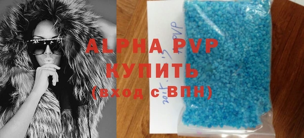 прущие грибы Заволжье