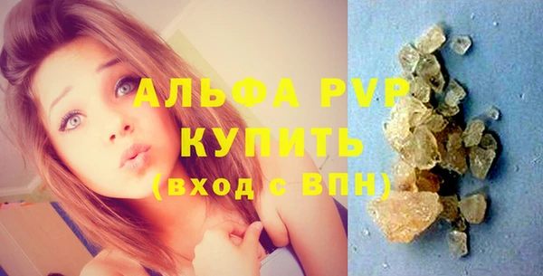 прущие грибы Заволжье