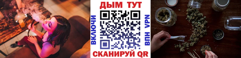 Бошки марихуана Ganja  продажа наркотиков  Славгород 